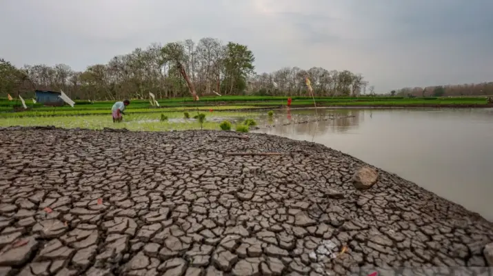 ADB Ingatkan Konflik dan El Nino Kuat Ancam Ekonomi Asia-Pasifik
